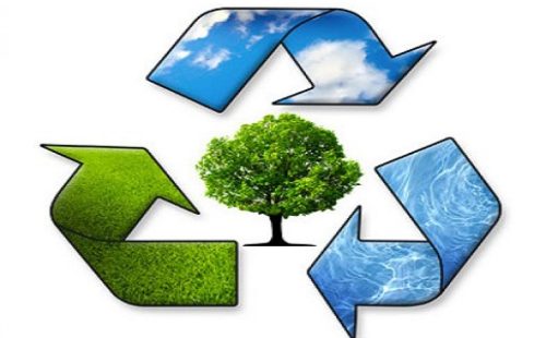 imagem de meio-ambiente